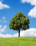 image of landscape