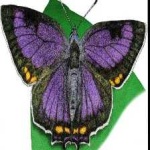 image of animal