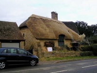 image of thatch