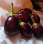 image of eggplant #32