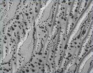 image of texture
