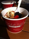 image of frozen_yogurt #9