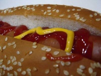 image of hotdog