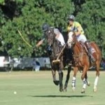 image of sport