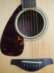 image of acoustic_guitar