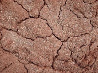 image of texture