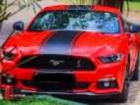 mustang_car