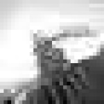image of sign_language