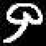 image of amharic