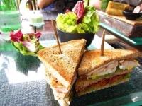 image of food