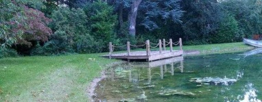 image of pond