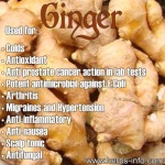 image of ginger #5