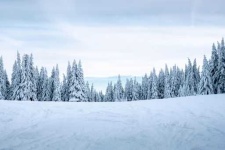 image of snowy