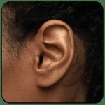 image of ear #8