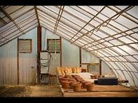image of greenhouse