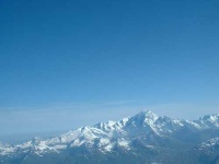 image of alp