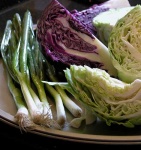 image of head_cabbage
