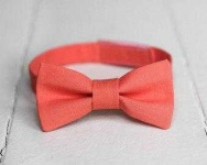 image of bowtie