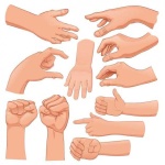 image of human_body_parts