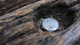 image of screw