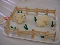 image of cauliflower