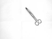 image of curved_scissor #15