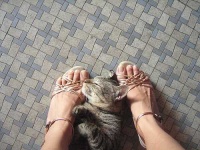 image of sandal
