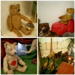 image of teddy