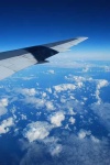 image of wing