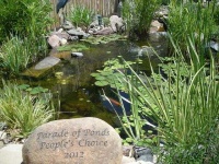 image of pond