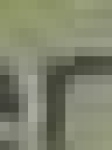 image of char