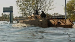 image of amphibian
