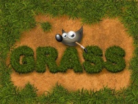 image of grass