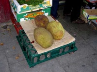 image of jackfruit