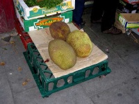 image of jackfruit #12