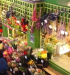 image of indoor