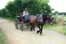 image of horse_cart #22