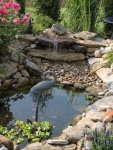 image of pond