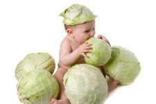 image of cabbage #25