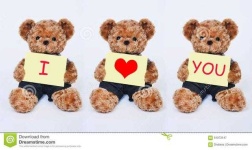 image of teddy_bear