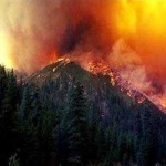 image of wildfire