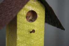 image of birdhouse