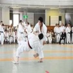 image of judo #5