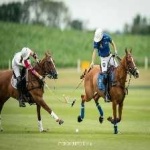 image of sport