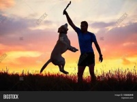 image of people_play_with_dog #24