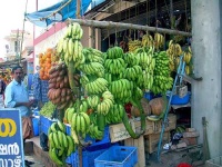 image of banana