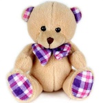 image of teddy_bear
