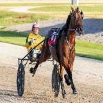 image of harness_racing #5