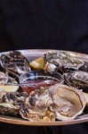 image of oyster #44