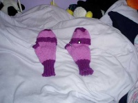 image of mitten